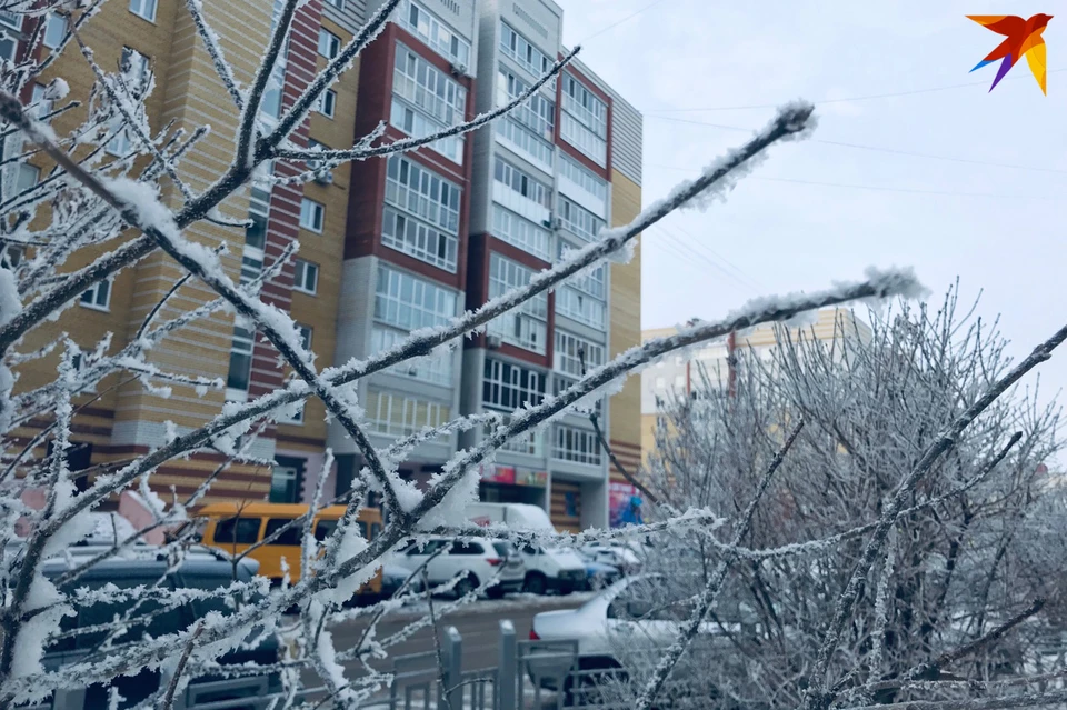 "Комсомолка" решила испробовать несколько способов, которые обещают согреть в стужу. Самый эффективный из них - остаться дома