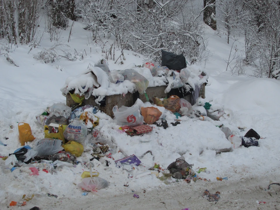 Такие горы мусора в прошлом году были не редкостью. В 2019-ом ситуация пока благополучная.