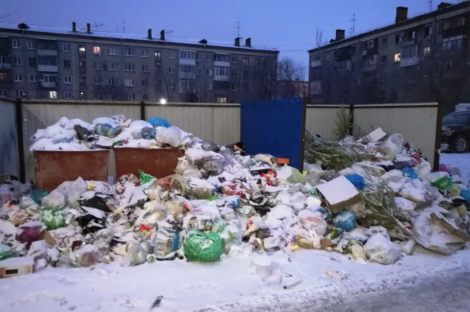 За горой мусора баков уже не видно. Улица Титова, утро 15 января 2019.
