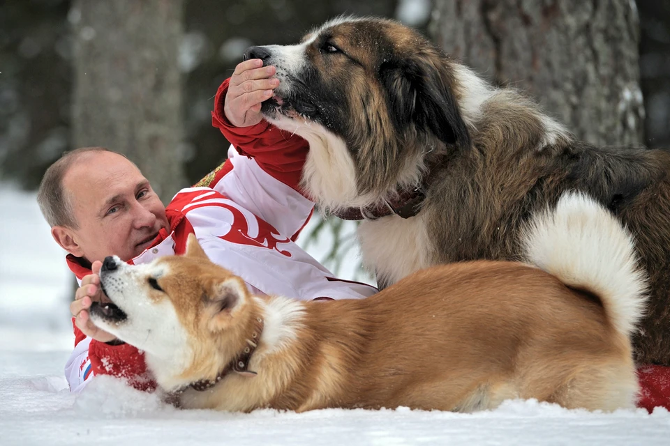 Президент вывел на прогулку своих собак Баффи и Юмэ. Фото: Алексей Дружинин / РИА Новости