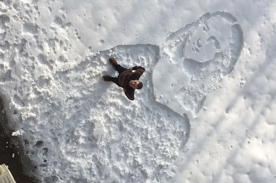 Портрет Моны Лизы на снегу. Фото из группы ВК "Левенцовка_news".