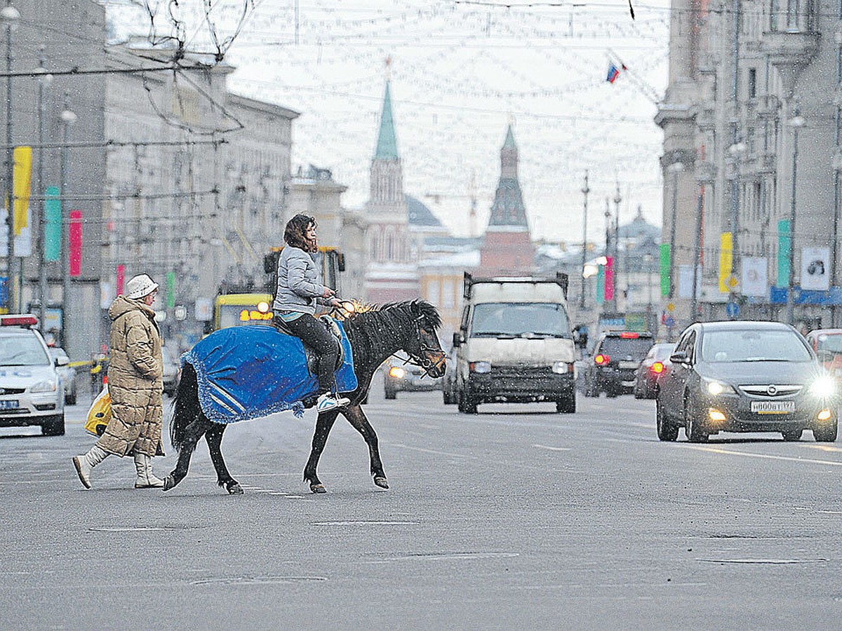 Старые авто не пустят в Москву? - KP.RU