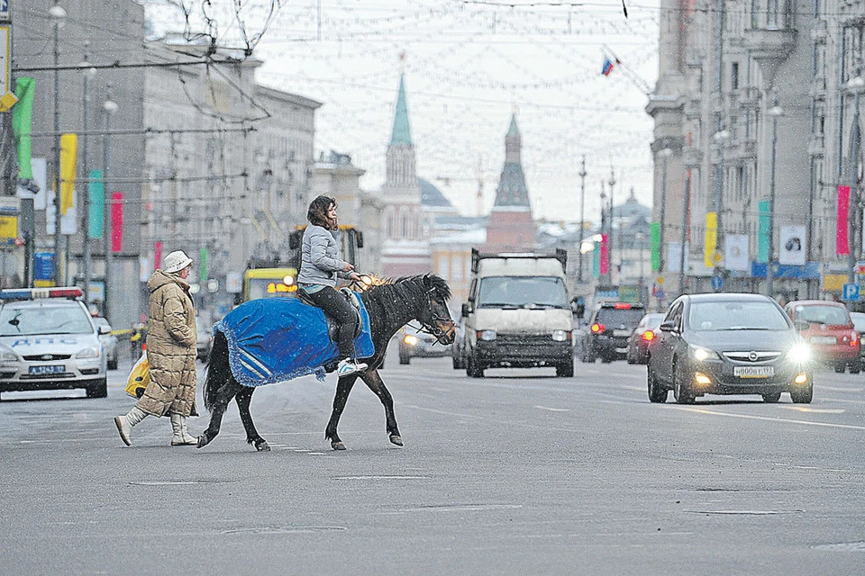 Скоро ездить по Москве можно будет только на экологически чистом транспорте.