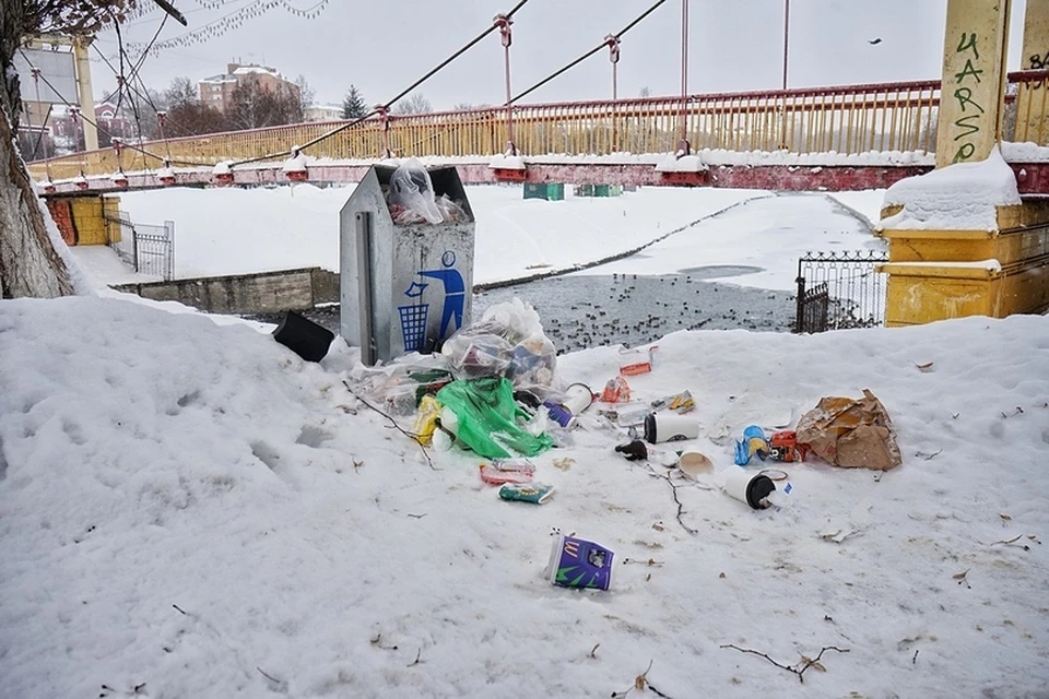 Фото: Вячеслав Коваленко
