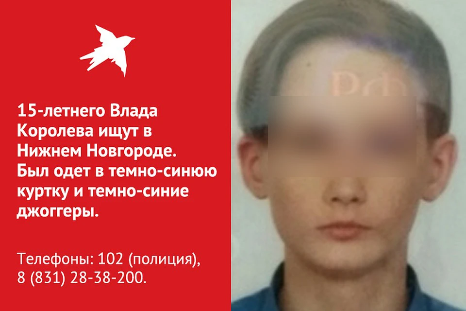 Мальчик потерялся 6 февраля 2019 года.