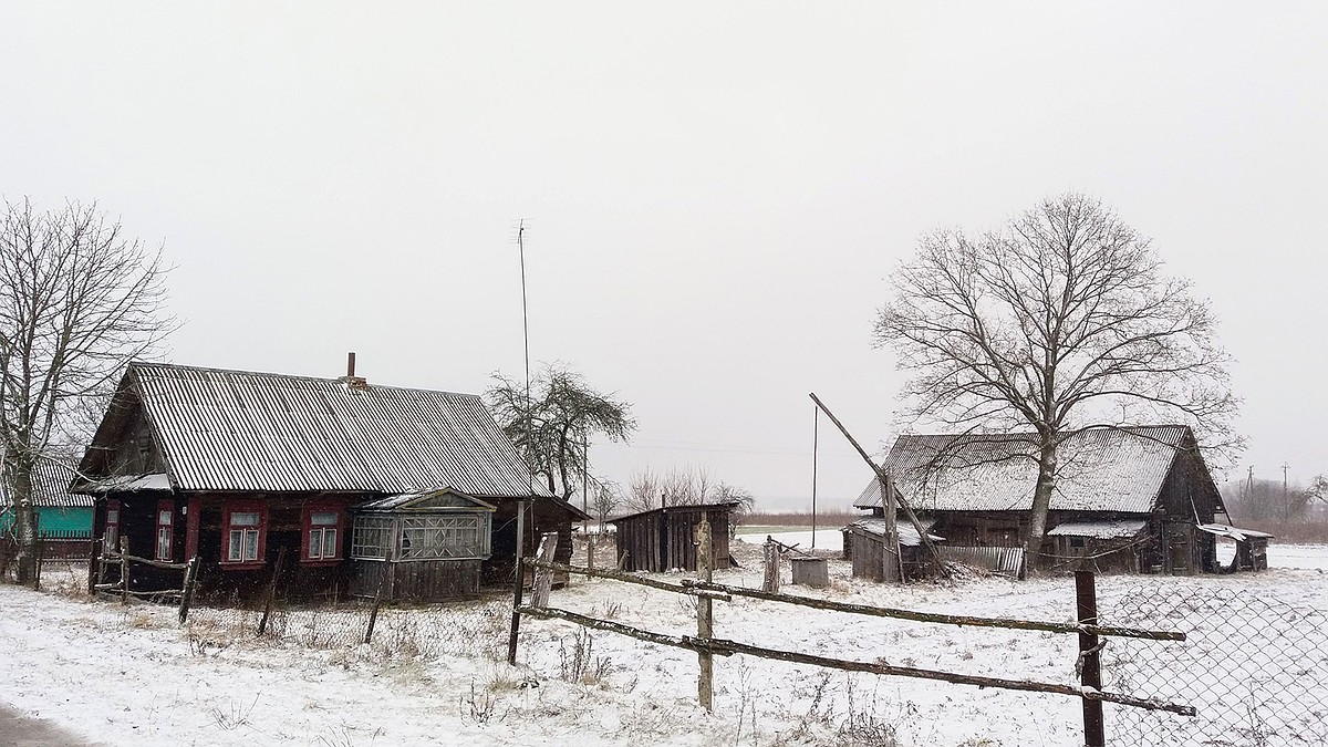 Ученый перевел Библию, Гомера и Гоголя на диалект родной деревни - KP.RU