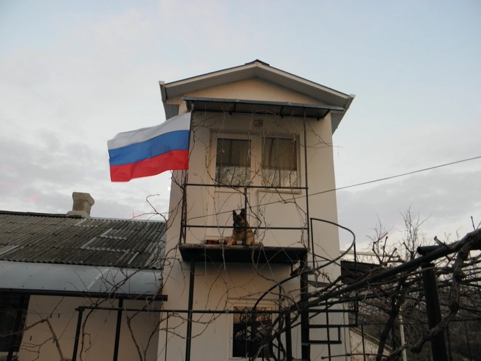 Крымчане начали вывешивать на своих домах триколоры. Фото: Александр МАНУВЕРА, читатель КП