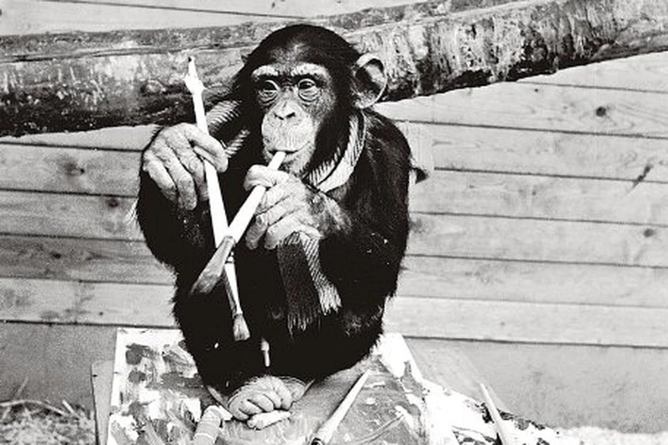 Картины Пьера Брассо представленных на выставке в Гётеборге, создал четырехлетний шимпанзе Питер из зоопарка шведского города Бурос. Фото: Википедия.
