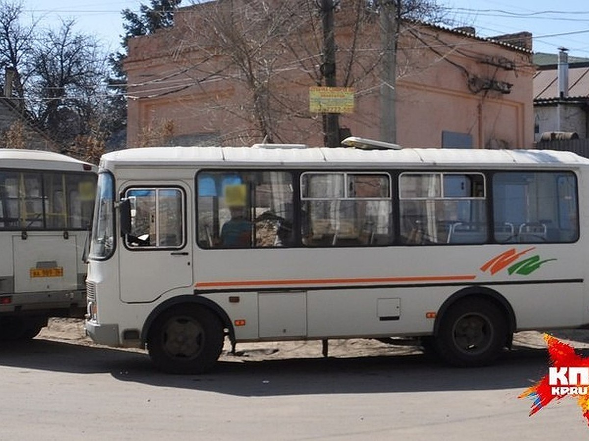 Дачные маршруты Курска 2019: остановки, время отправления, телефоны  диспетчеров - KP.RU