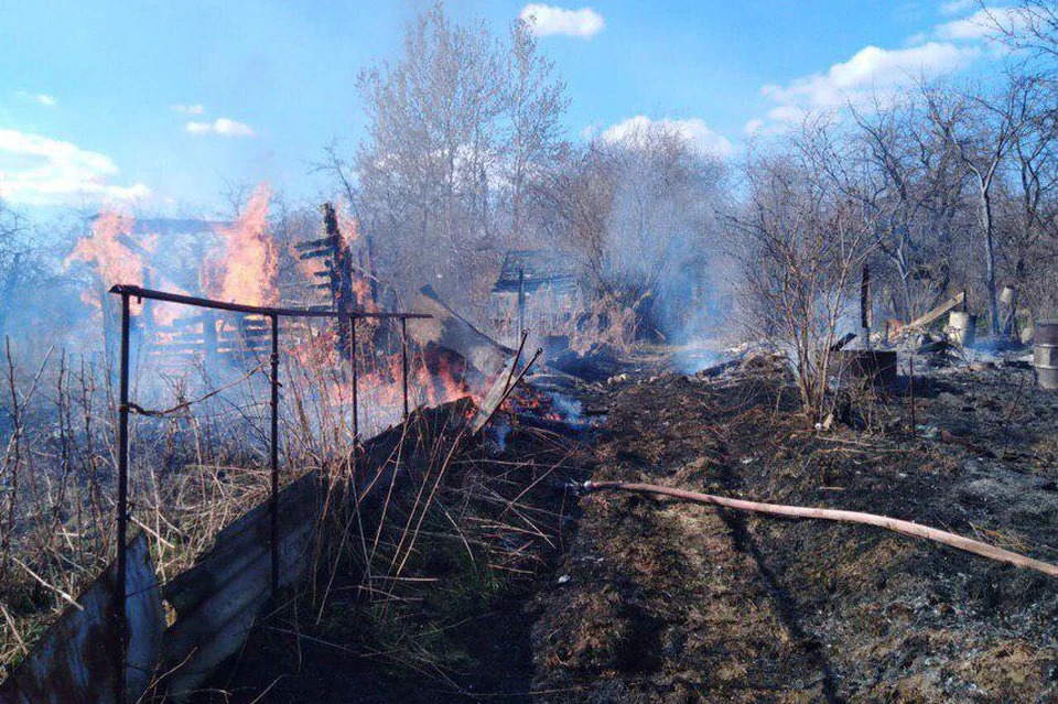 17 садовых домиков горят в Кстовском районе. Фото предоставлено "Комсомольской правде" очевидцами.