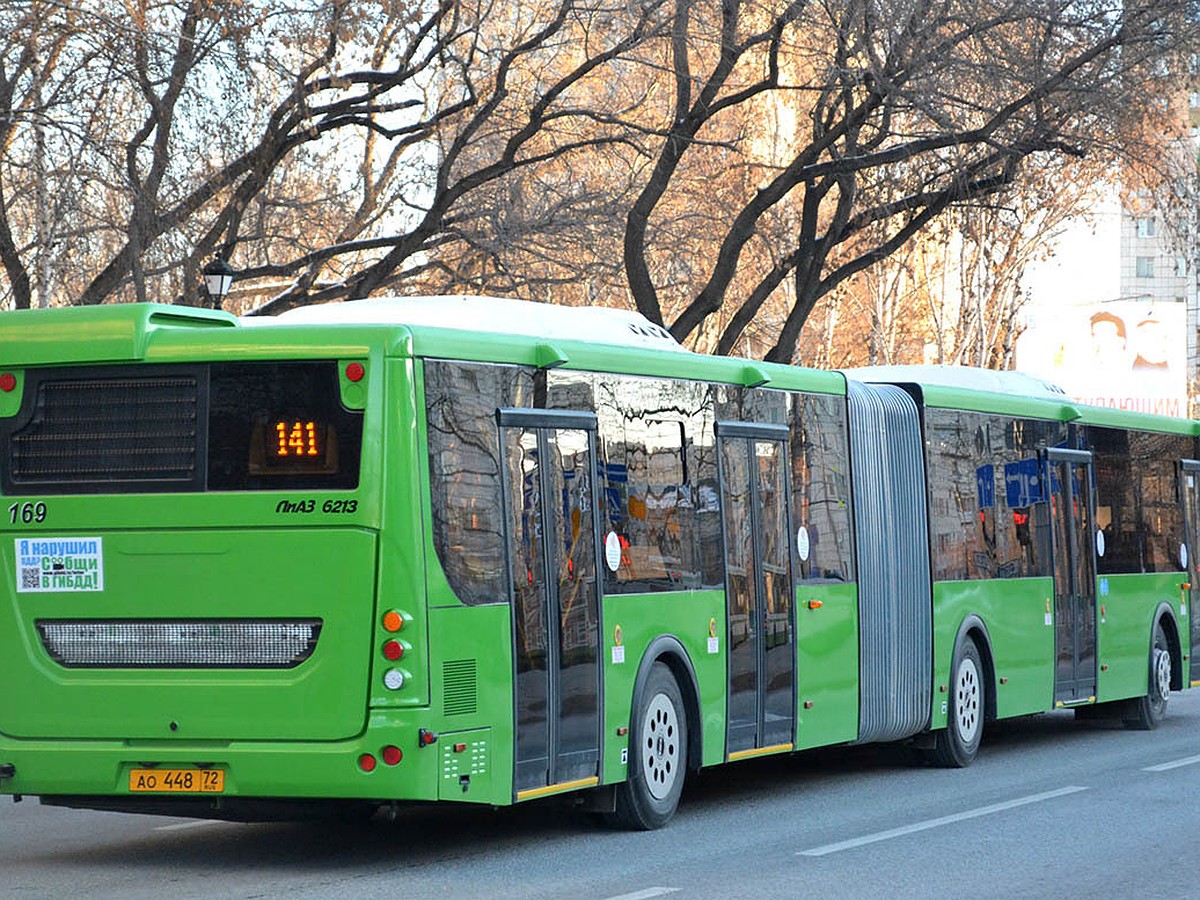 Дачные автобусы в Тюмени: как быстро добраться до дач летом 2019 года -  KP.RU