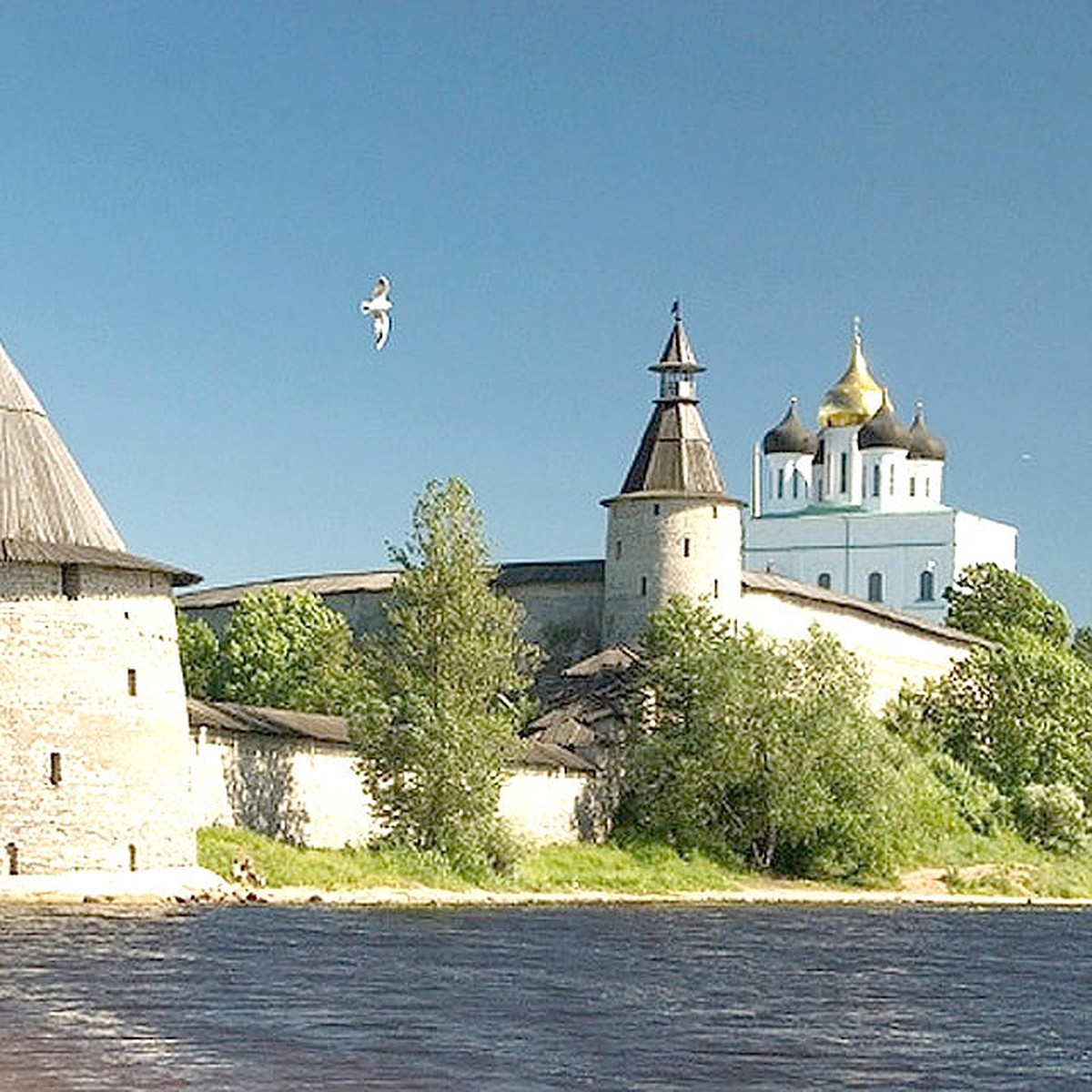 Туристов из Эстонии и Латвии предлагают пускать на три дня в псковскую  область без виз - KP.RU