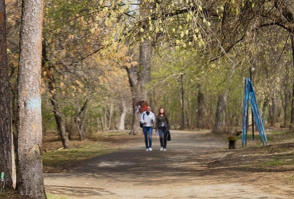 Зеленая роща екатеринбург план