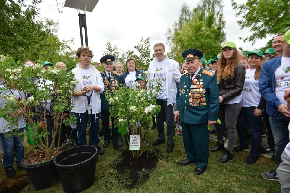 В Московской области прошла ежегодная эколого-патриотическая акция «Лес Победы». Фото: пресс-служба правительства МО​