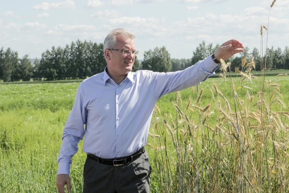 В сельском хозяйстве по урожайности зерновых и зернобобовых область занимает лидирующее положение в Приволжском федеральном округе.