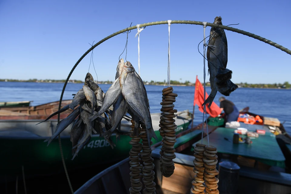 Виновницу торжества на фестивале готовят везде, даже на борту лодки. Фото: Пресс-служба Администрации Ленинградской области