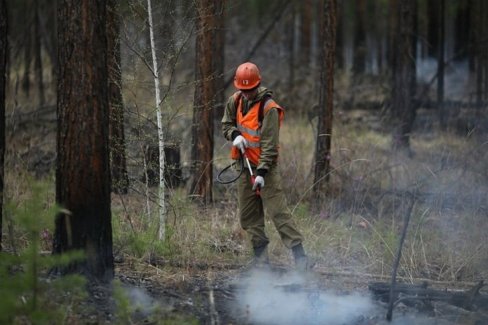 В Иркутской области в огне - 2337 гектаров тайги.