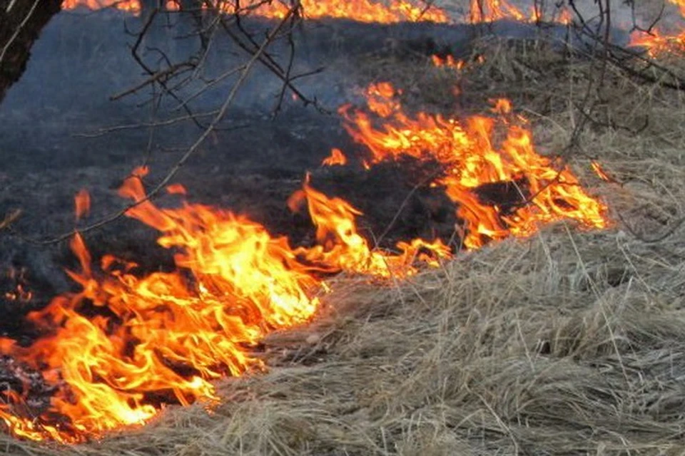 Поджигать сухую траву нельзя ни в коем случае Фото: Администрация Твери