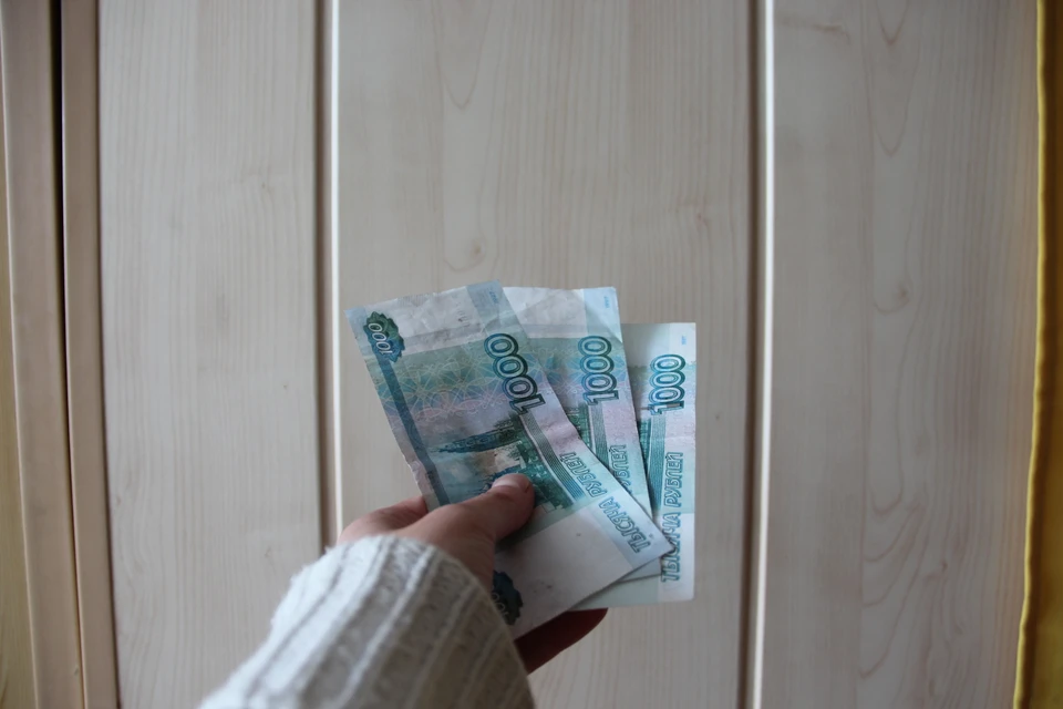 Пособие небольшое, но, уверены чиновники, эффективное