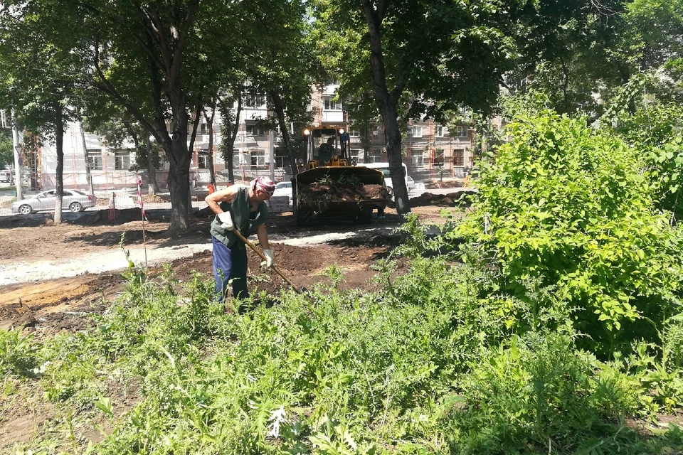 Рабочие убрали больные и сухие деревья