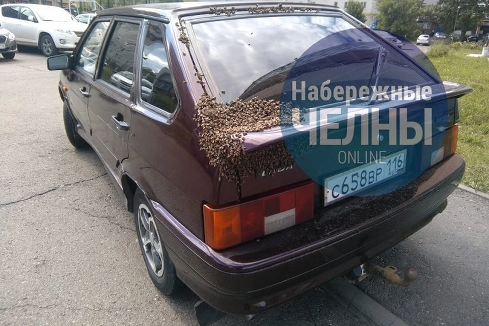 Фото: соцсети.