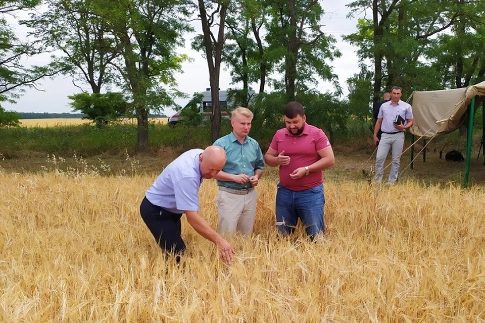 Глава ДНР Денис Пушилин поручил Минагропрому создать список неиспользуемых в сельском хозяйстве по назначению земельных участков