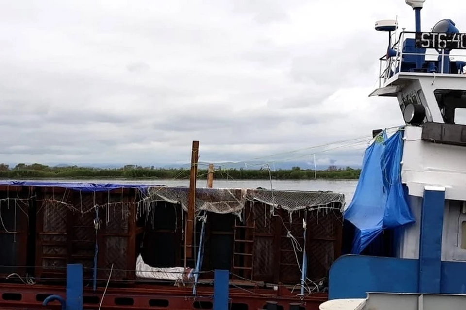 В этих контейнерах наполненных соленой водой косатки и белухи путешествовали по Амуру. Фото Тихоокеанского филиала ФГБНУ «ВНИРО»