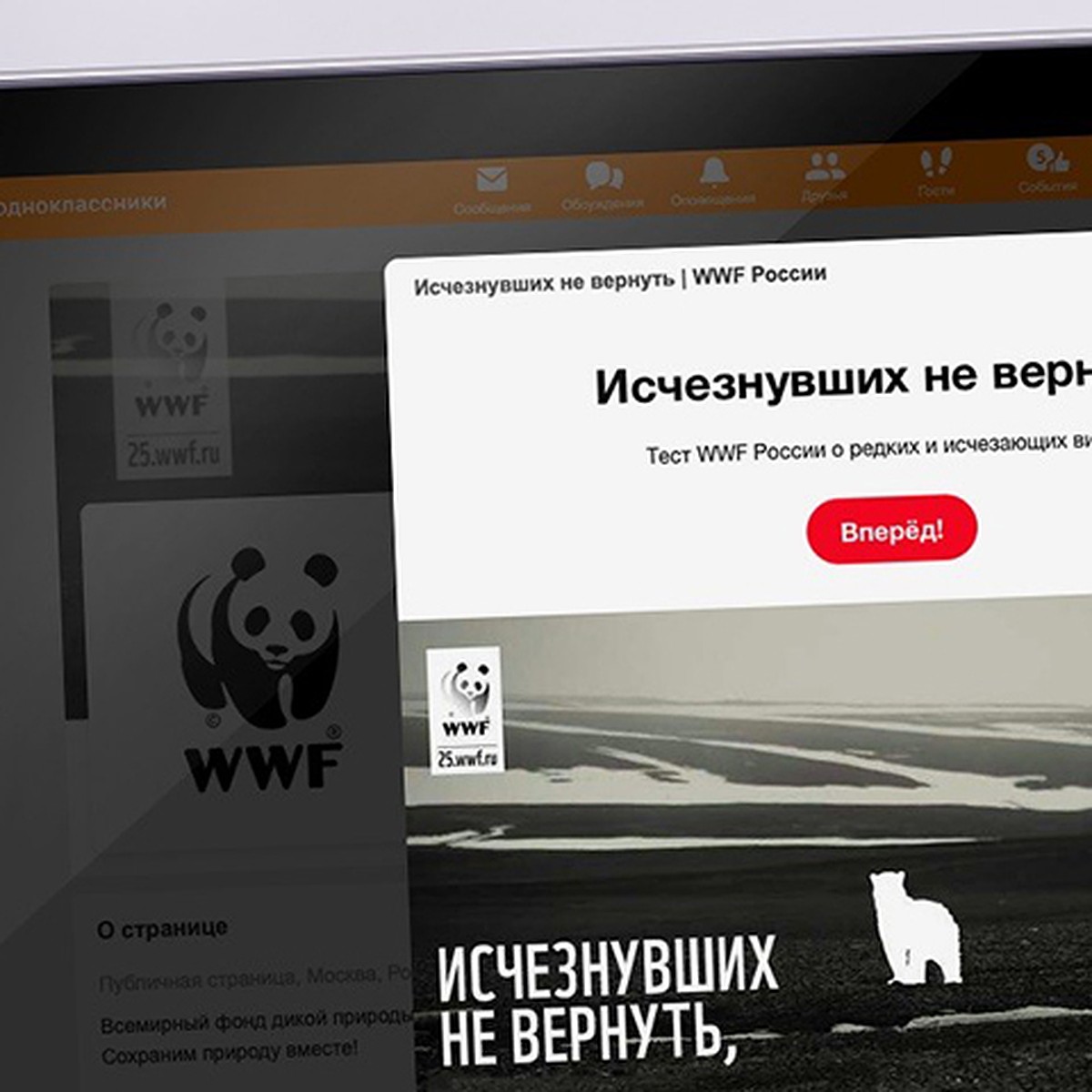 Одноклассники и WWF запустили образовательный проект о редких и исчезающих  видах животных - KP.RU