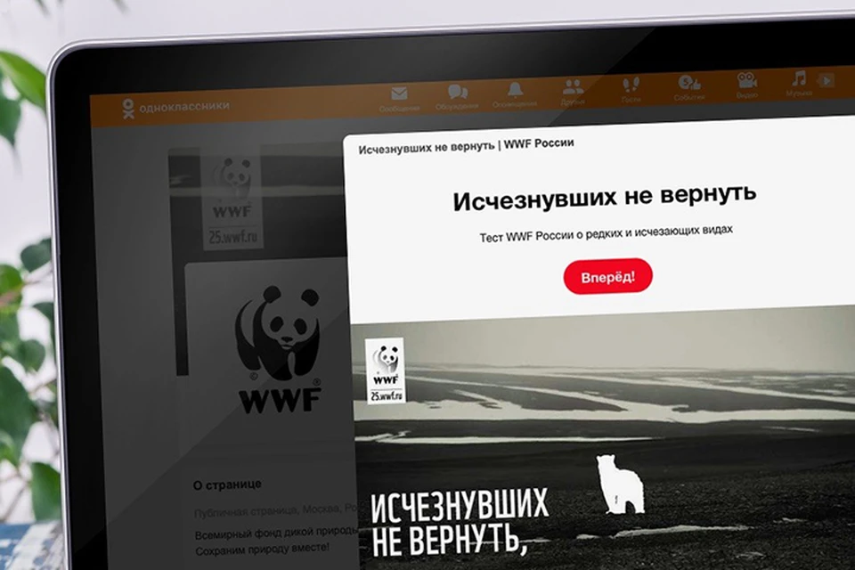 Герои проекта — восемь исчезающих видов животных, в сохранении которых участвует WWF России