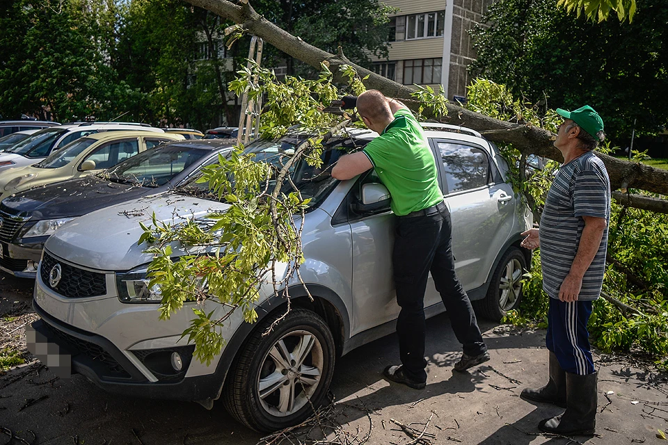 Упавшее после урагана дерево на северо-западе Москвы.