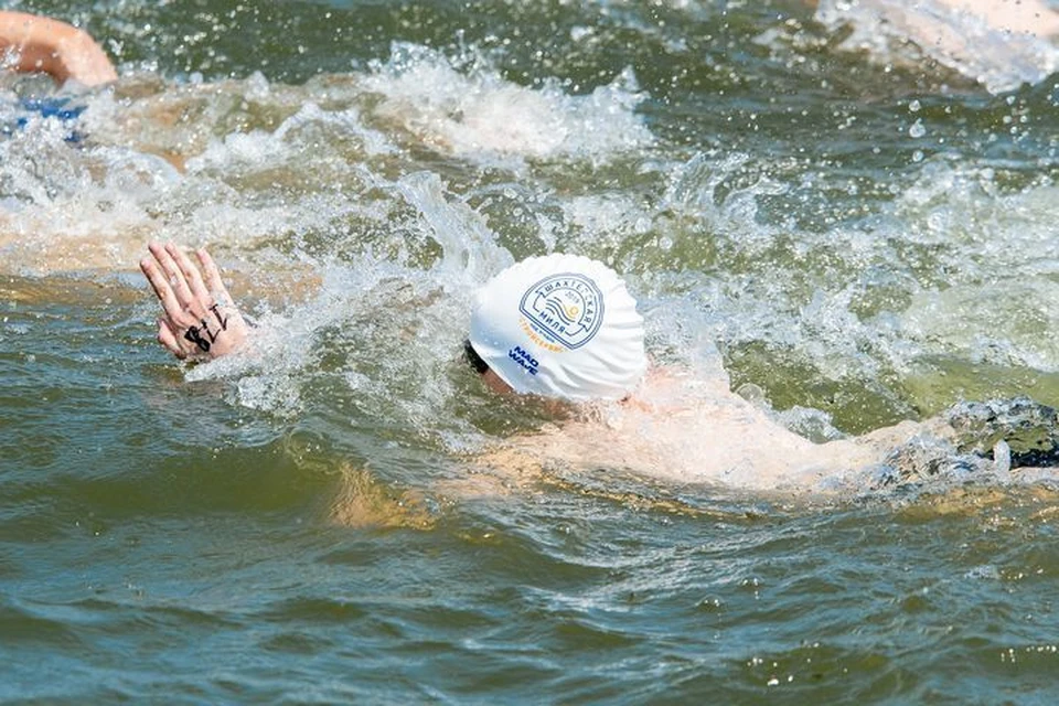 Чемпионы мира по плаванью приехали в Кузбасс на «Шахтерскую милю». ФОТО: ЗАО "Стройсервис"
