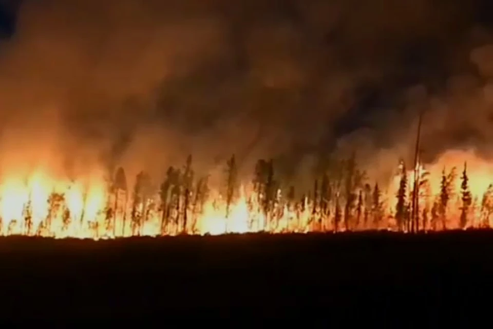 «Самое страшное – когда выгорает кислород»: красноярец снял на видео лесной пожар изнутри. Стоп-кадр видео