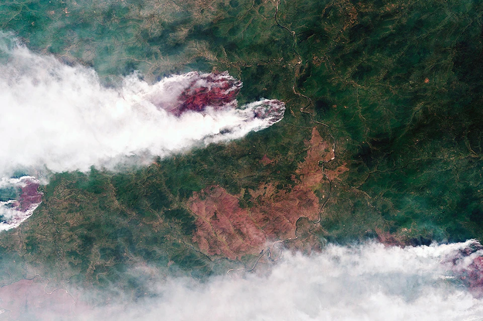 Территория, охваченная лесными пожарами, растет Фото: Роскосмос