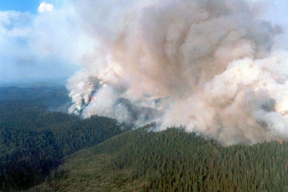 В Красноярском крае горит миллион гектаров леса. Фото: Лесопожарный центр