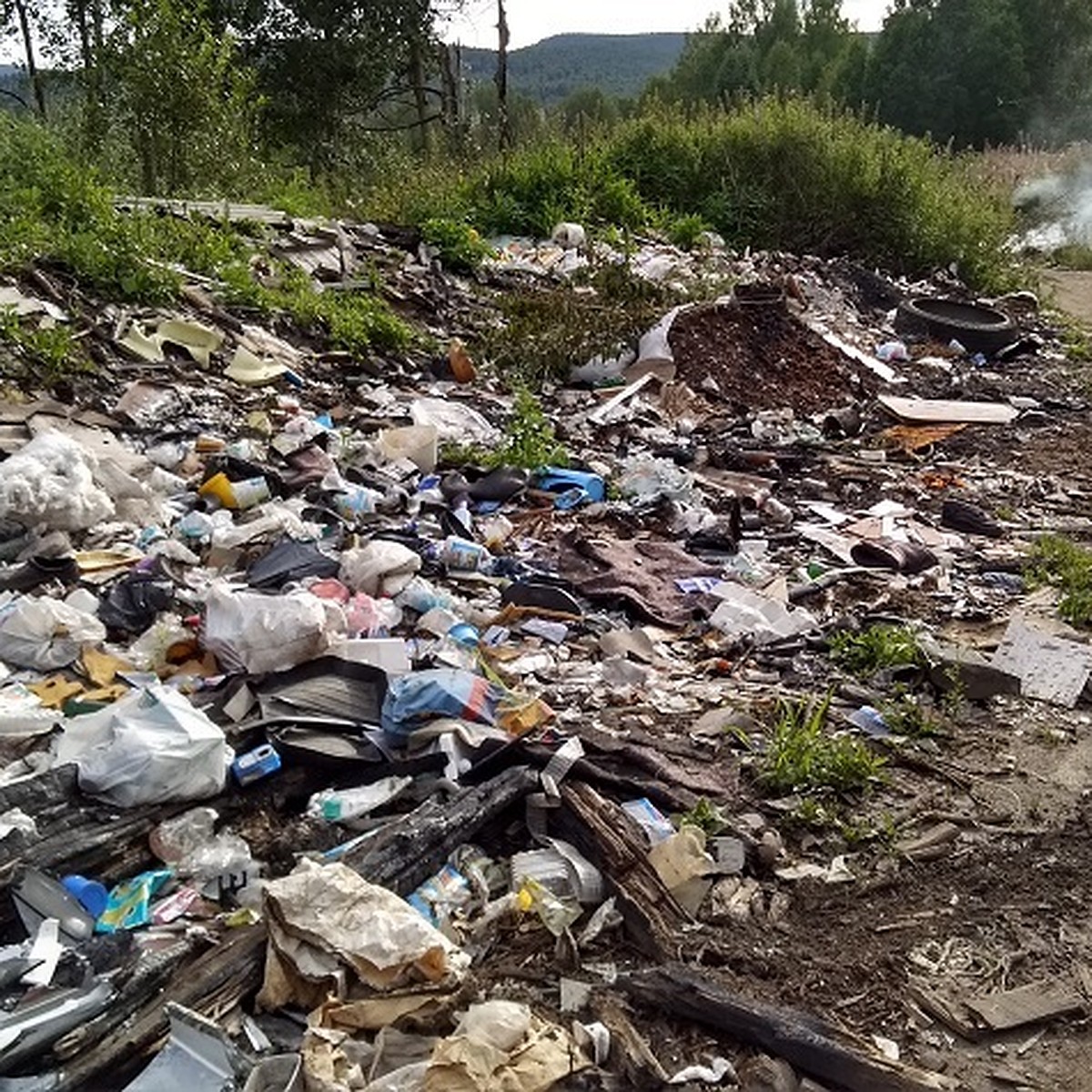 Она растет и горит»: жители поселка под Нижним Тагилом жалуются на  нелегальную свалку - KP.RU