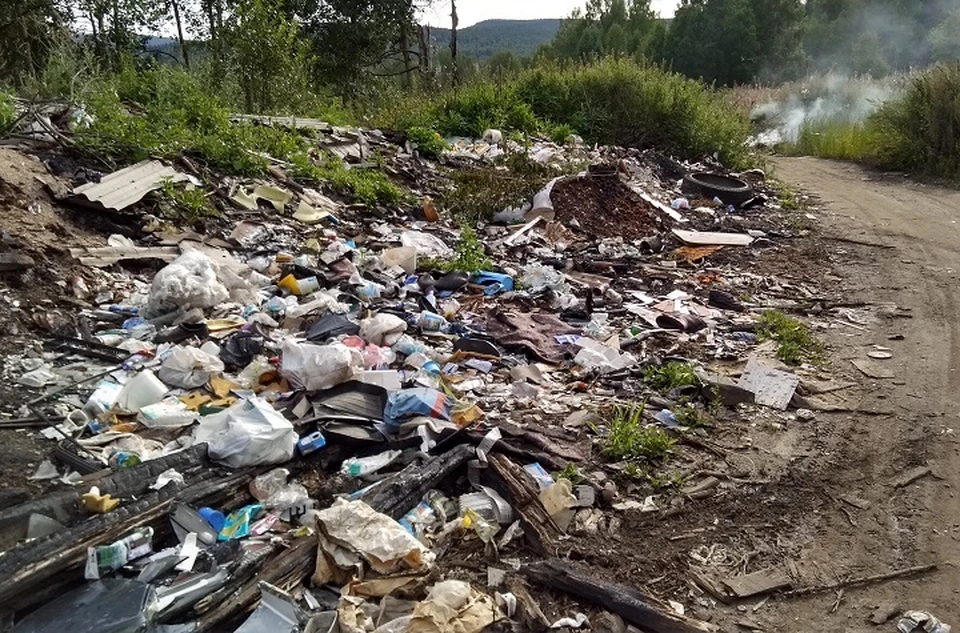 Свалка периодически горит по несколько суток подряд. Фото: Лев ИСТОМИН