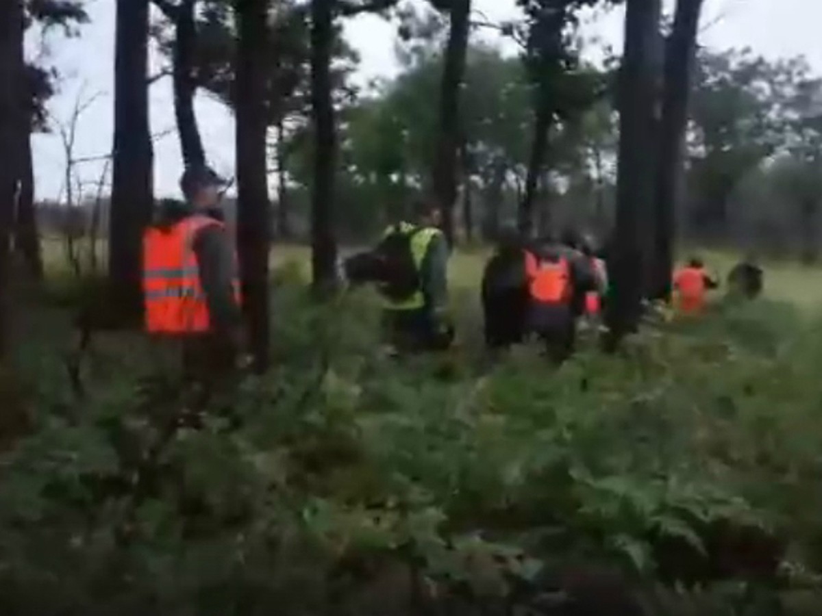 Молодые люди заметили в лесу странную дыру. Заглянув внутрь, они были в шоке