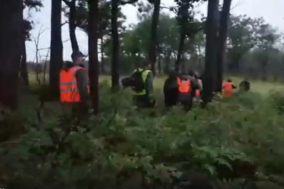 Парни в Хабаровском крае два дня провели в лесу с медведями и ели только ягоду ФОТО: ПСО «Лига-Спас»