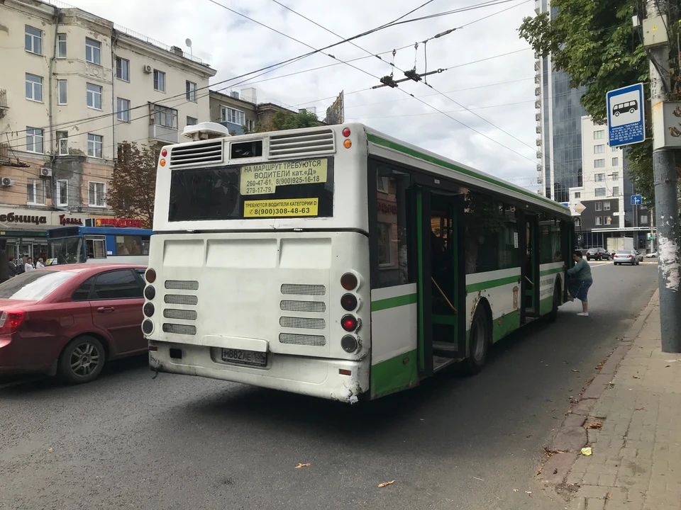 Приживутся ли в Воронеже автобусы эконом и премиум-класса?