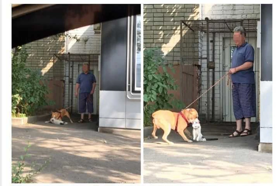 Фото: скриншот из группы «Курск» в соцсети.
