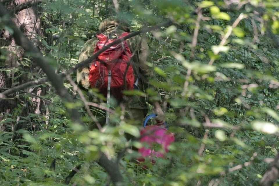 Полицейские в Красноярском крае вывели из леса заплутавшего грибника