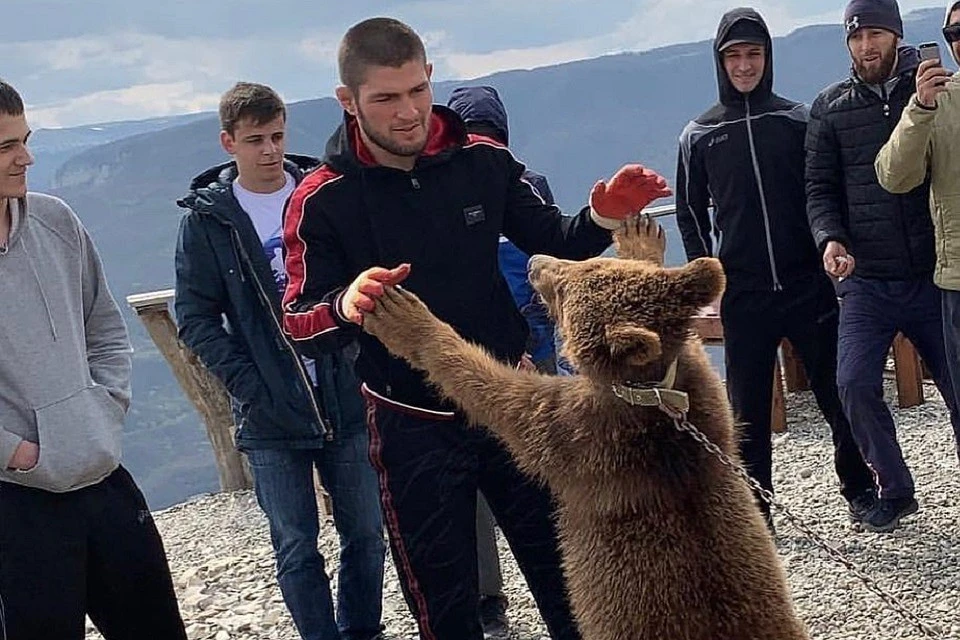 Хабиб Нурмагомедов дважды дрался с медведем — в 2019 и в 1997 годах