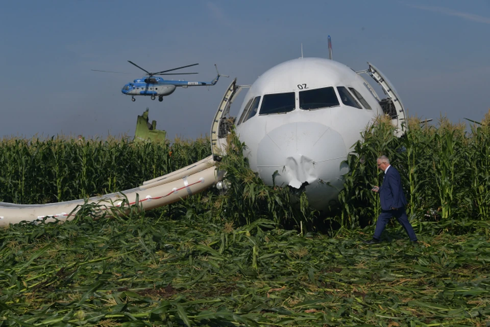 Самолет А-321 экстренно приземлился на поле кукурузы 15 августа.