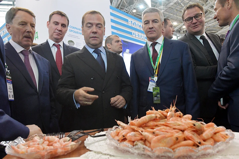 Медведеву показали креветок, промысел которых ведется в Баренцевом море.