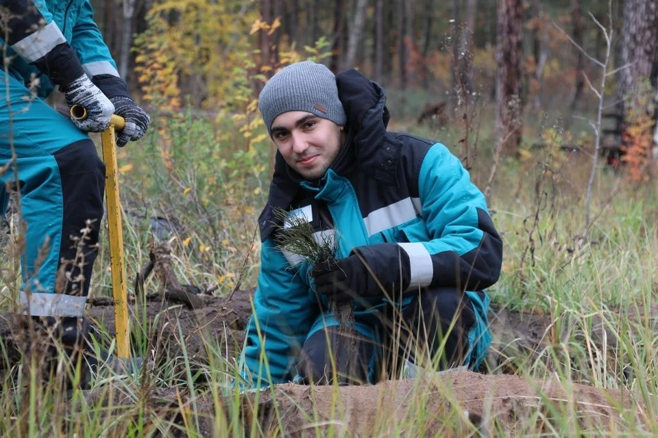 Сотрудники СИБУР Тольятти уже умеют качественно сажать лес