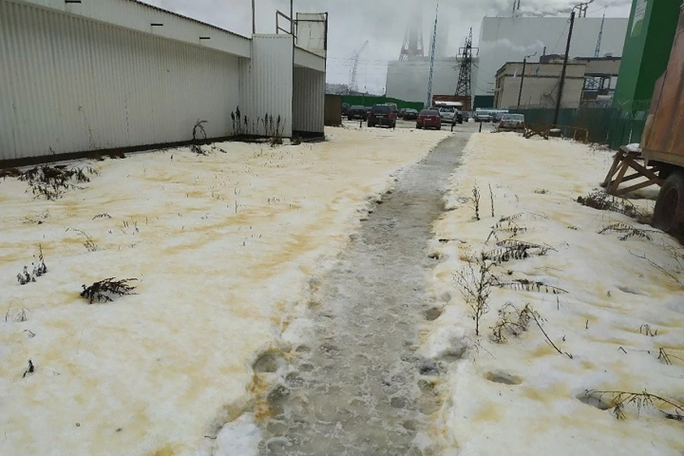 В Карелии выпал желтый снег. Фото: vk.com/club174196957