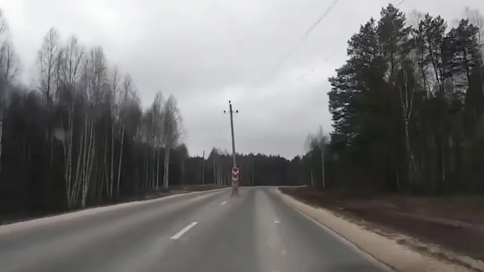 Вот такой столб появился посреди дороги в Гороховецком районе. Фото: скриншот с видео группы "Соловьиный помет".