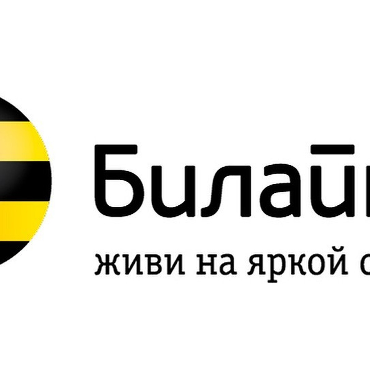 Билайн и «Лиза Алерт» разработали приложение для поиска пожилых людей в  городе - KP.RU