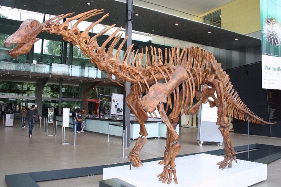 Найденные зубы говорят о том, что динозавры жили в Якутии не опасаясь за потомство.