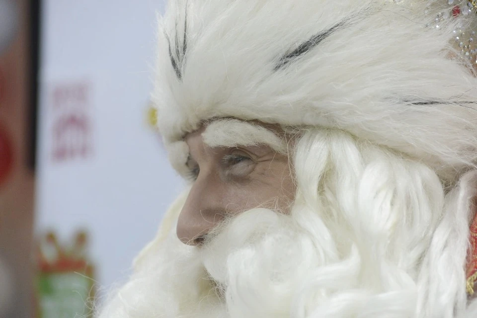 Фото: Алексей ФОКИН